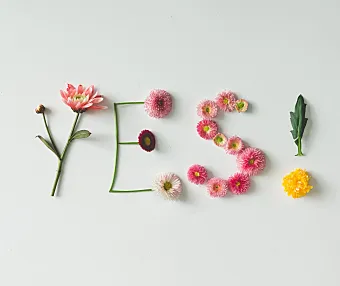 宝塔8.01离线版 本地版 全功能版 下载