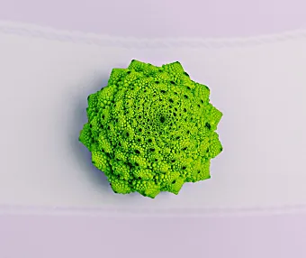 虚拟机软件VMware Workstation PRO_v17.5.0正式版