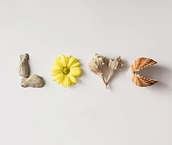 OmoFun_v1.0.8精简纯净版|免费追番利器