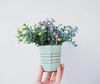 OmoFun_v1.0.8精简纯净版|免费追番利器