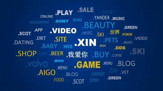图片[1] - 如何识别与选择优质域名 - 长江博客