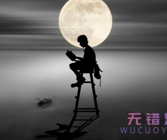 国内所有小说建站系统整理