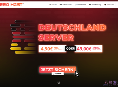 BERO HOST：媲美独立服务器性能的VPS