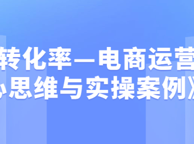 《转化率—电商运营核心思维与实操案例》