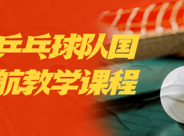国家乒乓球队国手尹航教学课程