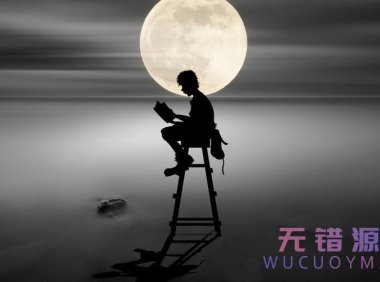 国内所有小说建站系统整理