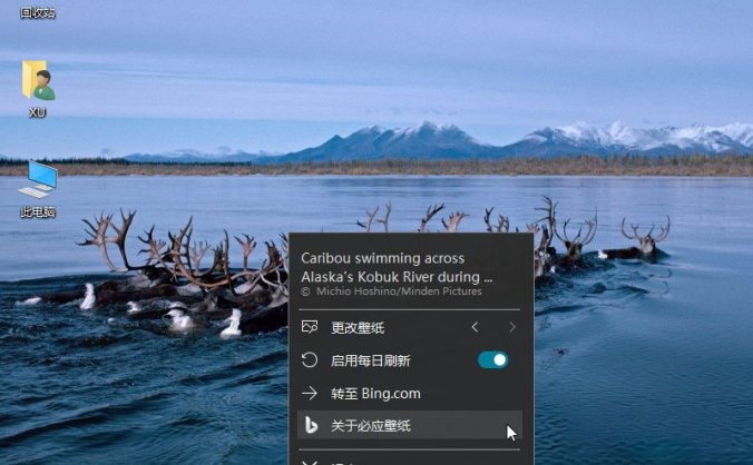 #Windows#微软出品免费壁纸工具_Bing Wallpaper_v1.0.9.9