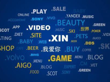 如何识别与选择优质域名[seo实战分享]